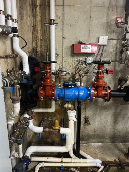 Industrial plumbing system with blue and orange valves and various connected pipes.