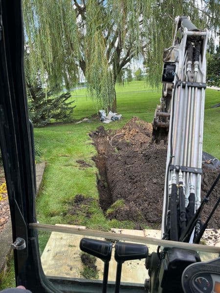 Excavator digging a trench in a landscaped yard beneath a willow tree.